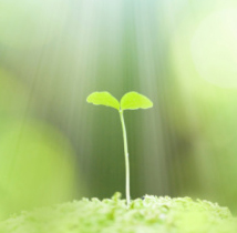 Customized Energy Savings